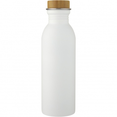 Logo trade corporate gifts picture of: Kalix 650 ml stainless steel water bottle