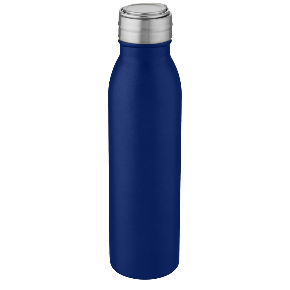 Logo trade promotional item photo of: Harper 700 ml stainless steel water bottle with metal loop
