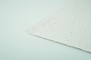 Logotrade promotional merchandise photo of: A6 wildflower seed paper sheet