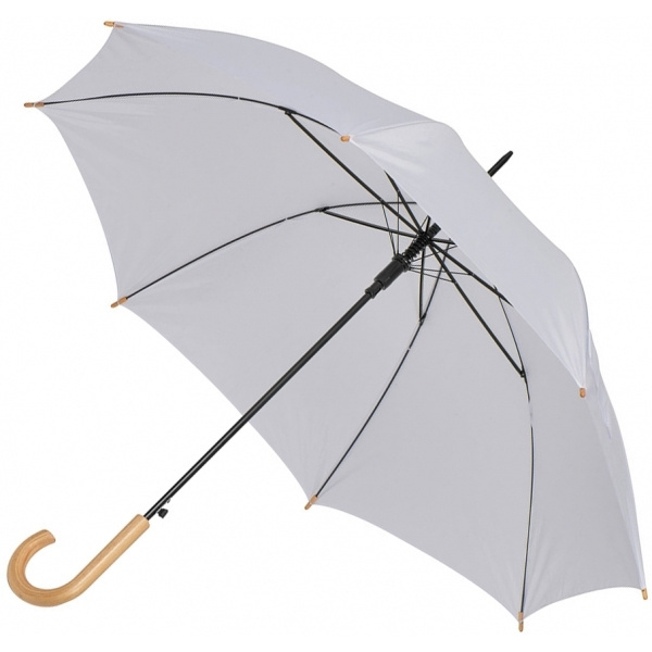 Logotrade promotional merchandise picture of: Automatic umbrella STOCKPORT