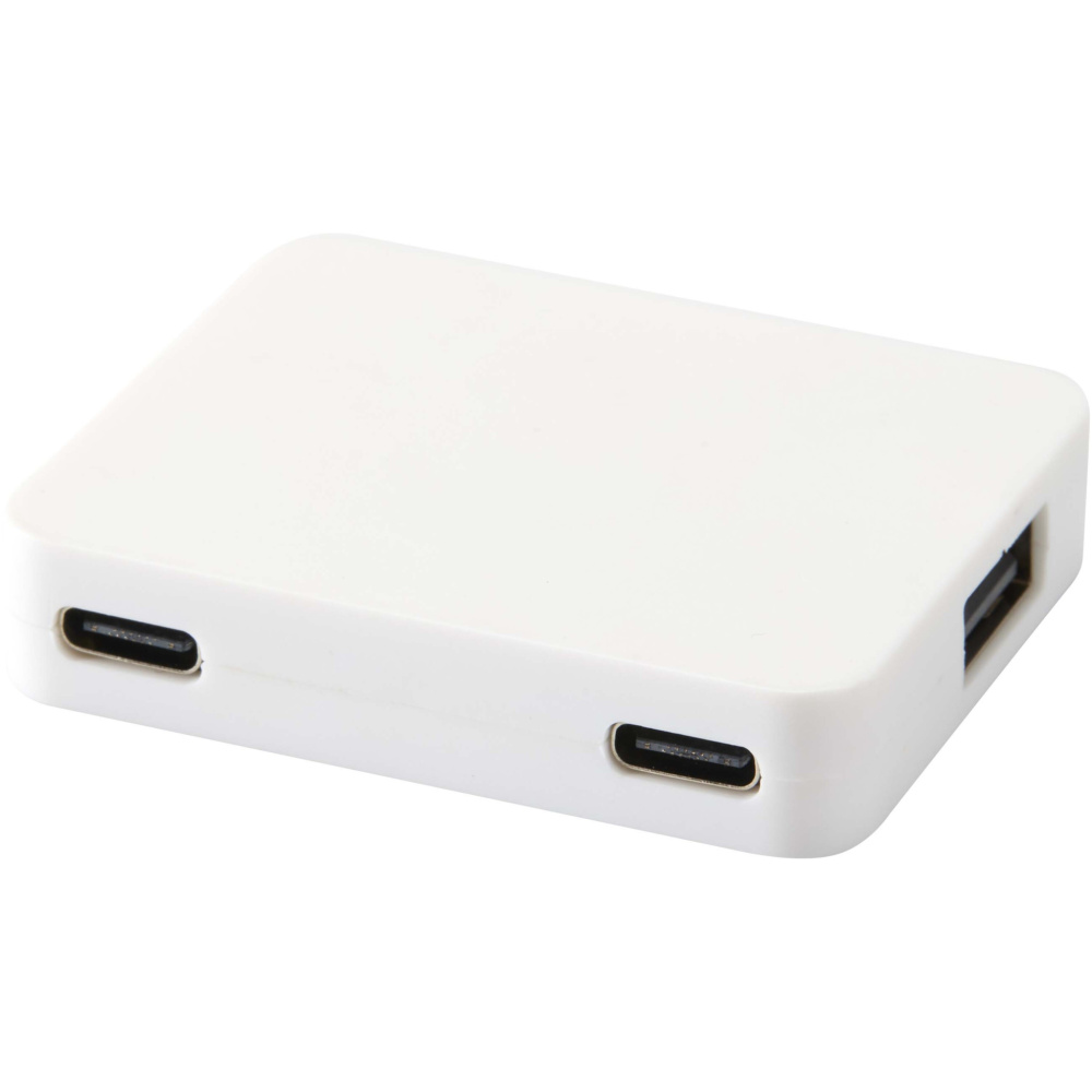 Logo trade advertising products picture of: Gaia 4-port USB hub with USB-A and Type-C output and dual input - made from recycled plastic